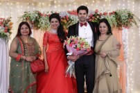 Ganesh Venkatraman-Nisha Krishnan wedding reception
