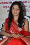Gnana Kirukkan Audio Launch