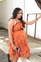 Hari Movie Audio Launch