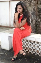 Hari Movie Audio Launch