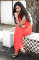 Hari Movie Audio Launch