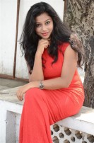 Hari Movie Audio Launch