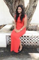 Hari Movie Audio Launch