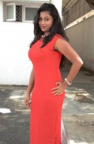 Hari Movie Audio Launch