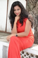 Hari Movie Audio Launch