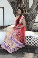 Hari Movie Audio Launch