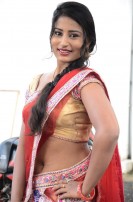 Hari Movie Audio Launch