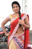 Hari Movie Audio Launch