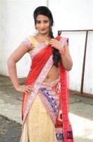 Hari Movie Audio Launch