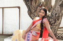 Hari Movie Audio Launch