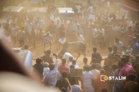 Hip hop Tamizha at Alanganallur Jallikattu