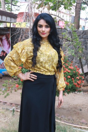 Inayathalam Audio Launch