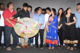 Idharkuthaane Aasaipattai Balakumara Audio Launch