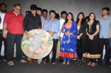 Idharkuthaane Aasaipattai Balakumara Audio Launch
