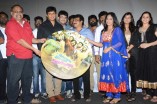 Idharkuthaane Aasaipattai Balakumara Audio Launch