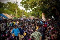 Jallikattu protest across the globe