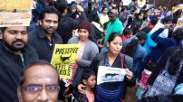 Jallikattu protest across the globe