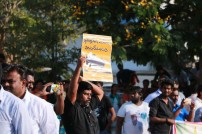 Jallikattu protest across the globe