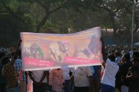 Jallikattu protest across the globe