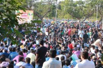 Jallikattu protest across the globe