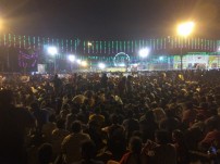 Jallikattu protest across the globe