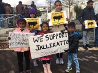 Jallikattu protest across the globe