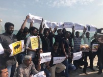 Jallikattu protest across the globe