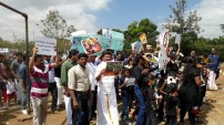 Jallikattu protest across the globe