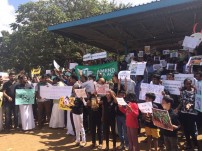 Jallikattu protest across the globe