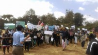 Jallikattu protest across the globe