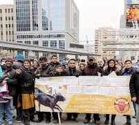 Jallikattu protest across the globe