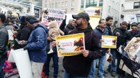 Jallikattu protest across the globe