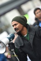 Jallikattu protest across the globe