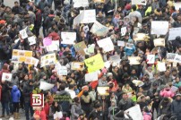 Jallikattu protest across the globe