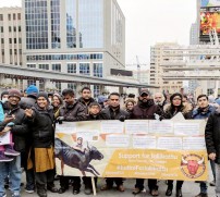 Jallikattu protest across the globe