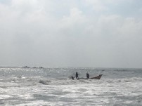 Jallikattu protest across the globe