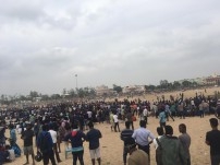 Jallikattu protest across the globe