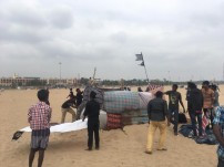 Jallikattu protest across the globe