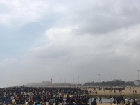 Jallikattu protest across the globe