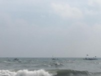 Jallikattu protest across the globe