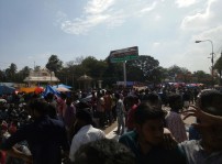 Jallikattu protest across the globe