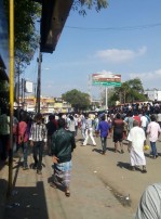 Jallikattu protest across the globe