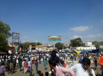Jallikattu protest across the globe