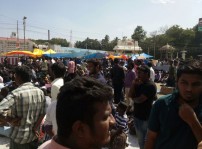 Jallikattu protest across the globe