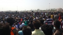 Jallikattu protest across the globe