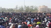 Jallikattu protest across the globe