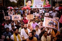 Jallikattu protest across the globe