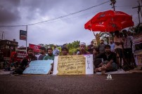 Jallikattu protest across the globe