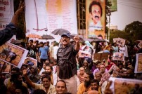 Jallikattu protest across the globe