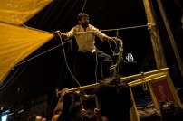 Jallikattu protest across the globe